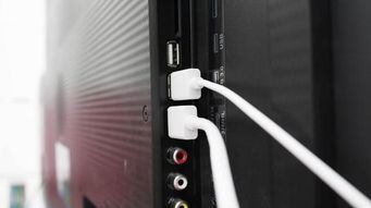 手機電視影音新玩法 居家妙品電視果使用體驗